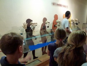 terra-amata-atelier02