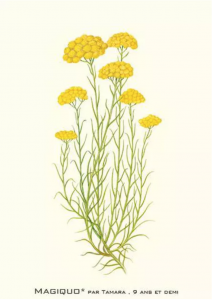 Capture d’écran 2018-03-23 à 11.56.25