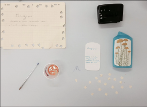 Capture d’écran 2018-03-23 à 11.57.34