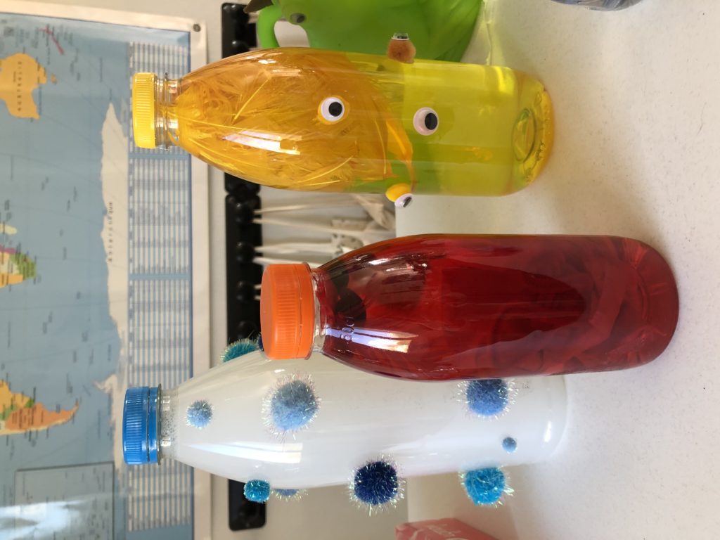 Jus de sang, jus cocovid et jus de poussin - CM1B