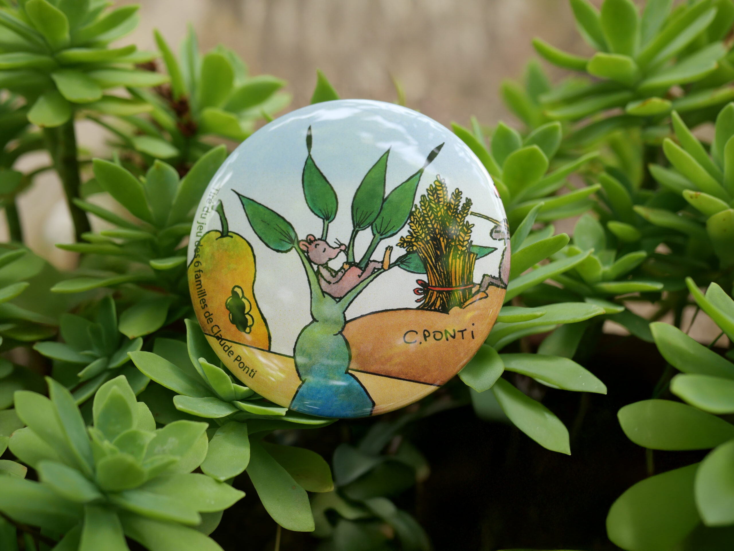 chaourcine chaourcine